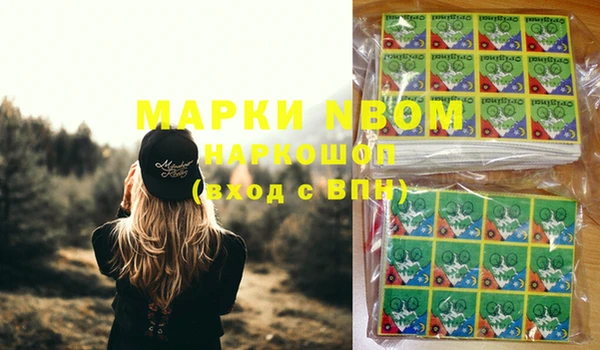 мдпв Алексин