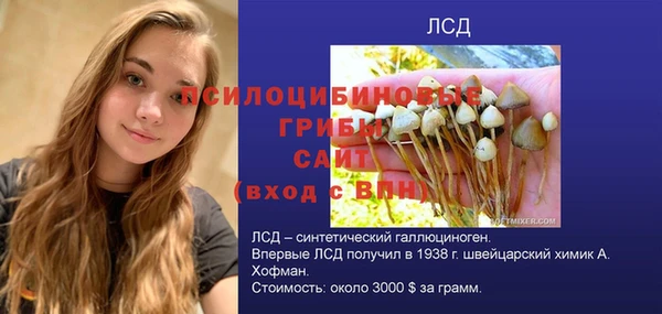 таблы Алзамай